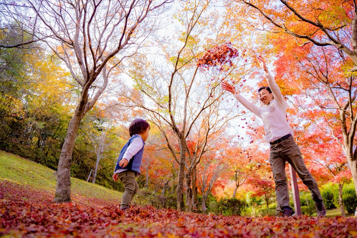 紅葉の公園で落ち葉と遊ぶ親子